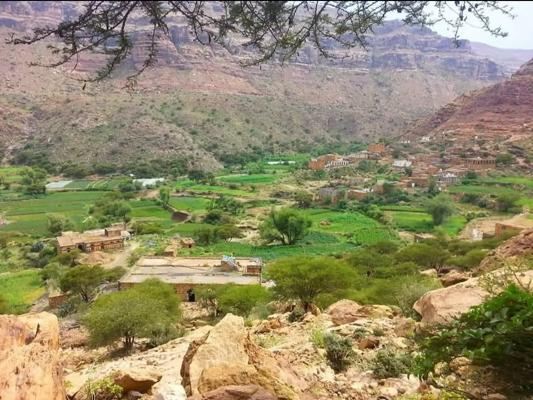 مليشيات الحوثي تحرق مزارع المواطنين في مريس بعد افتتاح الطريق