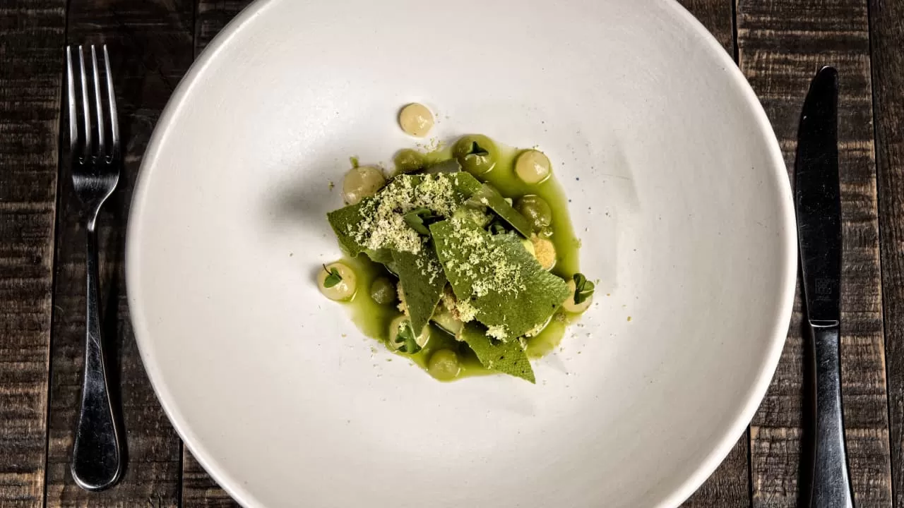 3أسباب تجعلك تطهو بزيت الافوكادو