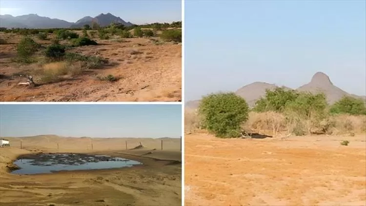 سلسلة غذائية ملوثة في اليمن.. تحقيق