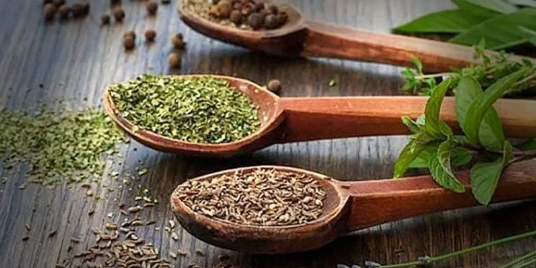 خلطات التسمين: امتلاء زائف وانهيار حقيقي