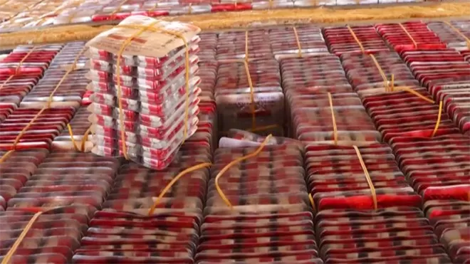 أمن منفذ الوديعة يحبط تهريب أكثر 16 ألف قرص كبتاجون مخدر إلى السعودية