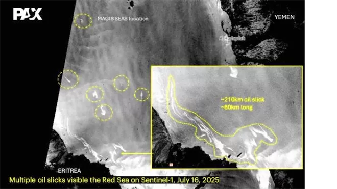 الساحل الغربي...رصد تلوث نفطي واسع النطاق"صور"