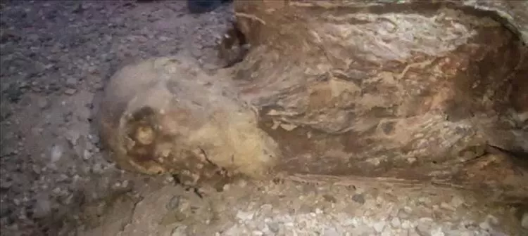 اكتشاف مومياء أثناء التنقيب عن الذهب في الجوف يسبب ضجة