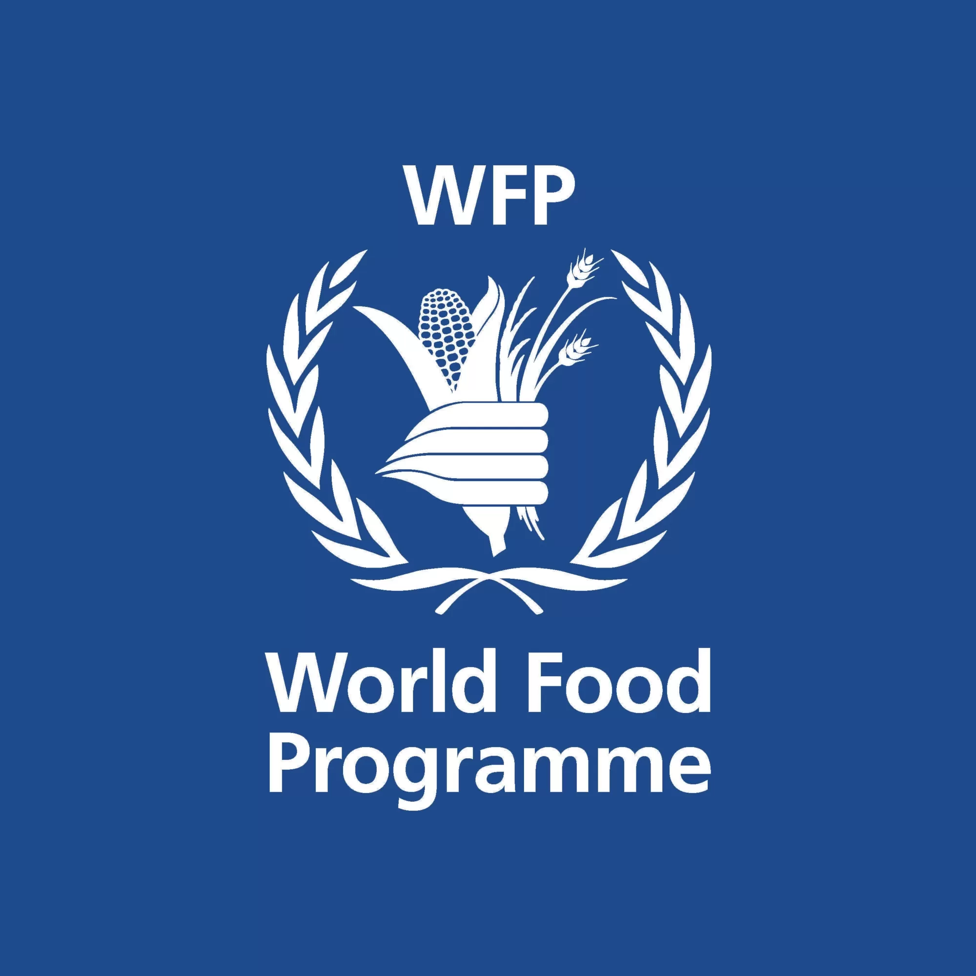 اليمن: 67% من الأسر لم تتمكن من تلبية احتياجاتها الغذائية في يونيو الماضي