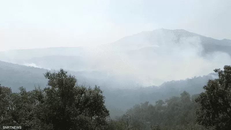 وسط رياح عالية.. مكافحة حرائق الغابات مستمرة في المغرب