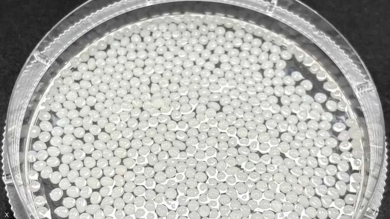 باحثون صينيون... مادة نباتية تثبت فعاليتها في إنقاص الوزن