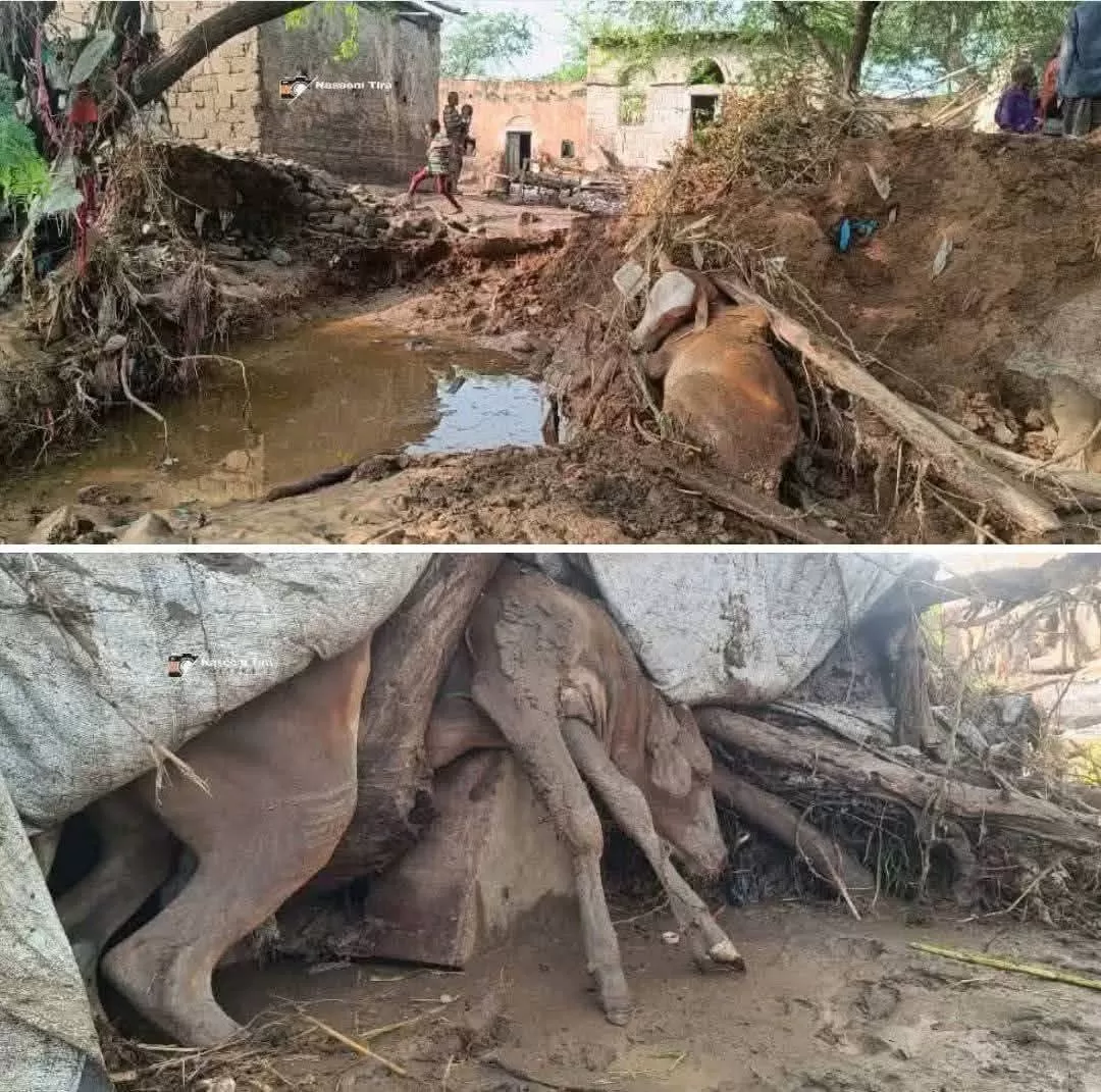 اليمن: مديرية الجعفرية في ريمة تواجه كارثة سيول غير مسبوقة والأهالي يطلقون نداء استغاثة