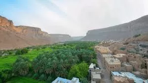 اليمن: حصول 14 شركة وجمعية زراعية بوادي حضرموت على شهادات (الآيزو) والممارسات الزراعية