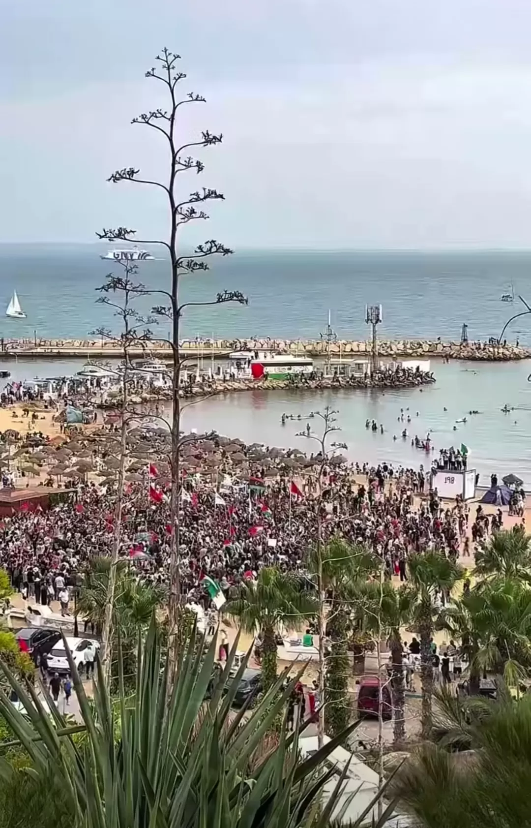 برفع العلم والراية الفلسطينية.. أكثر من ألف شخص يرحبون في تونس بأسطول المساعدات المتجه إلى غزة