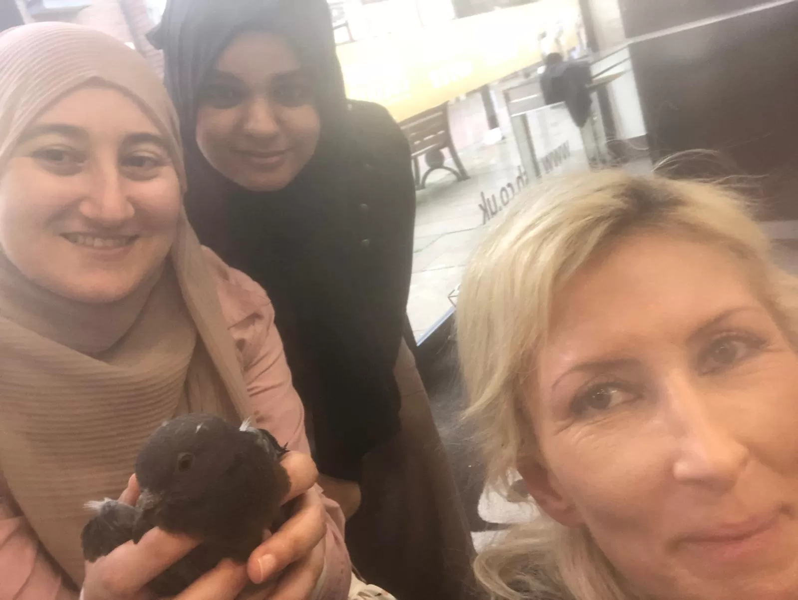 حمامة وينزر