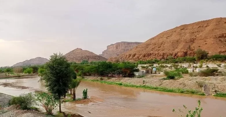 اليمن: السيول تجرف سيارتين في مديرية الصعيد بشبوة دون تسجيل خسائر بشرية