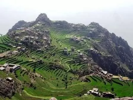 جبل النبي شعيب "الجبل الاعلى" في جزيرة العرب