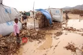 اليمن: 182 قتيلاً ومصاباً وأكثر من 387 ألف متضرر جراء الأمطار والفيضانات