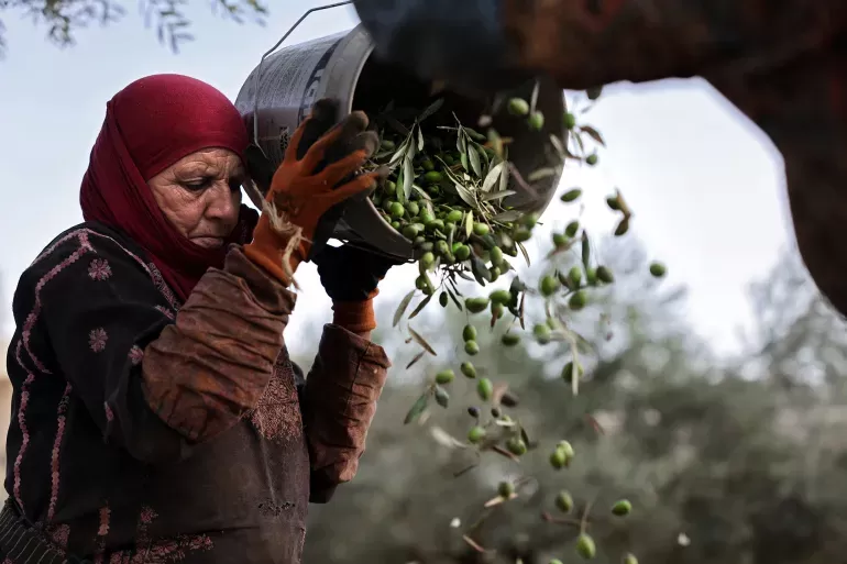 فلسطينيات في الضفة يقاومن بالزراعة زحف الاستيطان