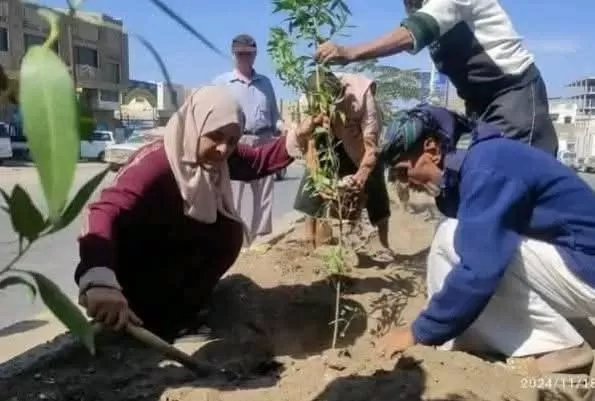 اليمن: شباب تعز يخلدون ذكرى المشهري بمبادرة شبابية لزراعة خمسة آلاف شجرة