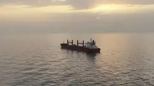 اليمن: الحوثيون يعلنون مسؤوليتهم عن مهاجمة سفينة شحن ترفع علم هولندا