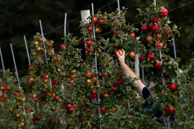 تغيير أنظمة الغذاء يجنب العالم كارثة المناخ و15 مليون وفاة سنويا