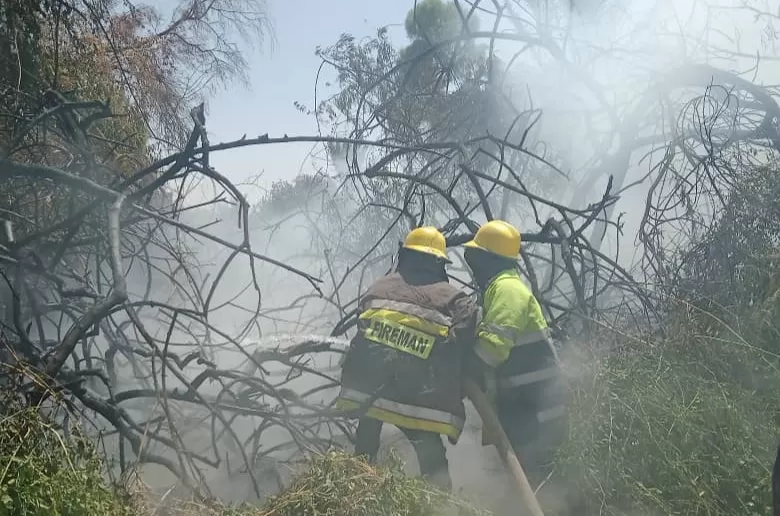 اليمن: الدفاع المدني يخمد حريقًا في إحدى المزارع في مأرب