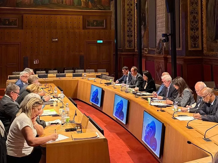 اليمن يشارك في لقاء عربي مع مجلس الشيوخ الفرنسي لبحث دعم القضية الفلسطينية