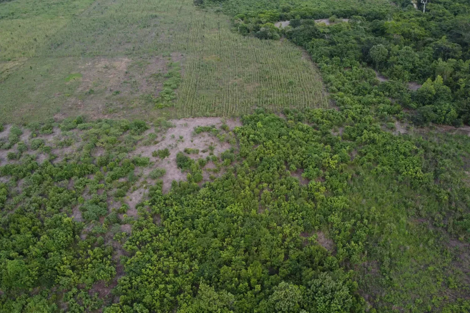 الاتحاد الأوروبي يعيد النظر في هدفه المناخي لعام 2040 وسط تحديات بيئية واقتصادية