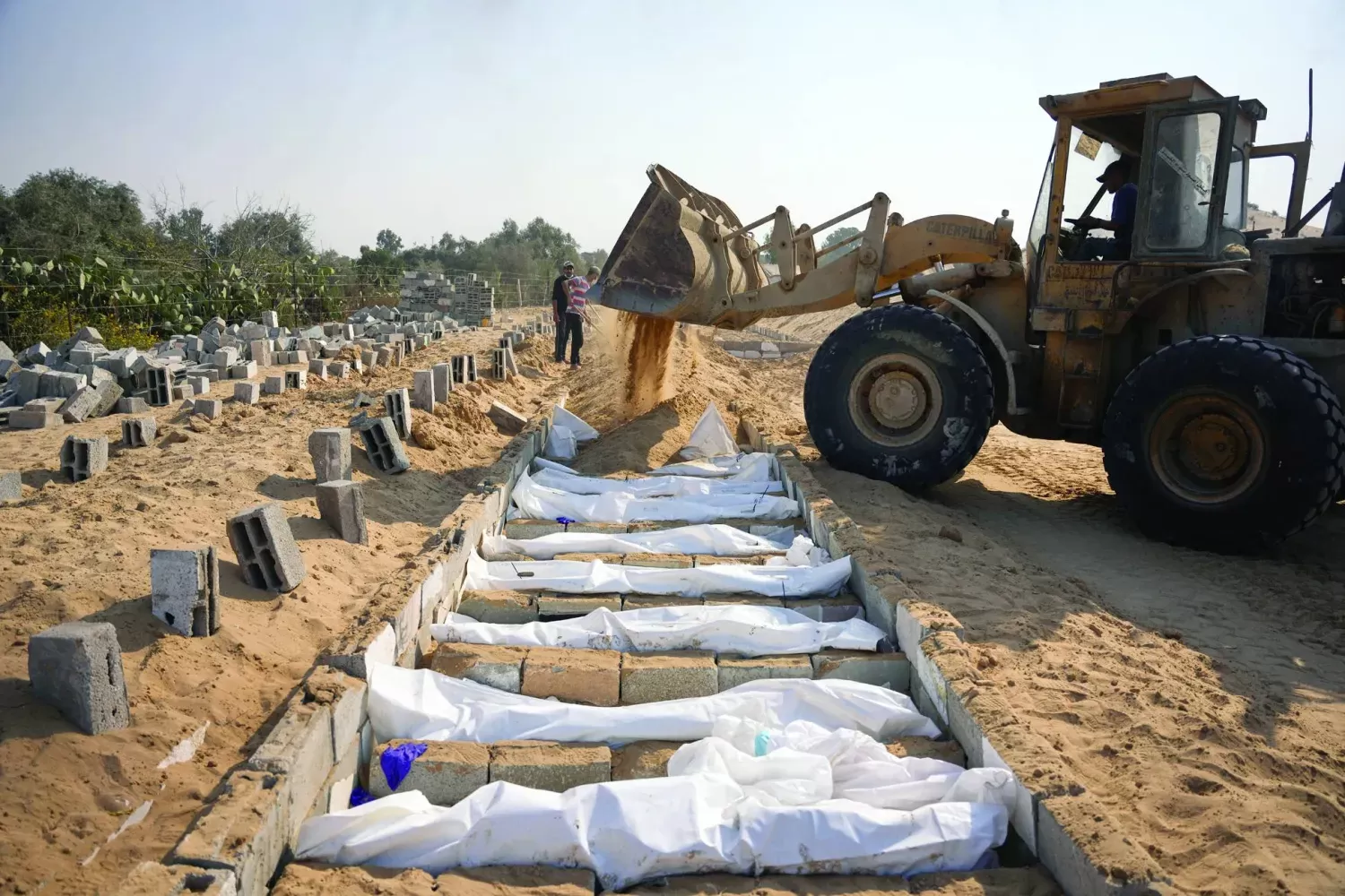 شهادات صادمة من معتقلين سابقين تكشف فظائع في سجن "سدي تيمان" الإسرائيلي