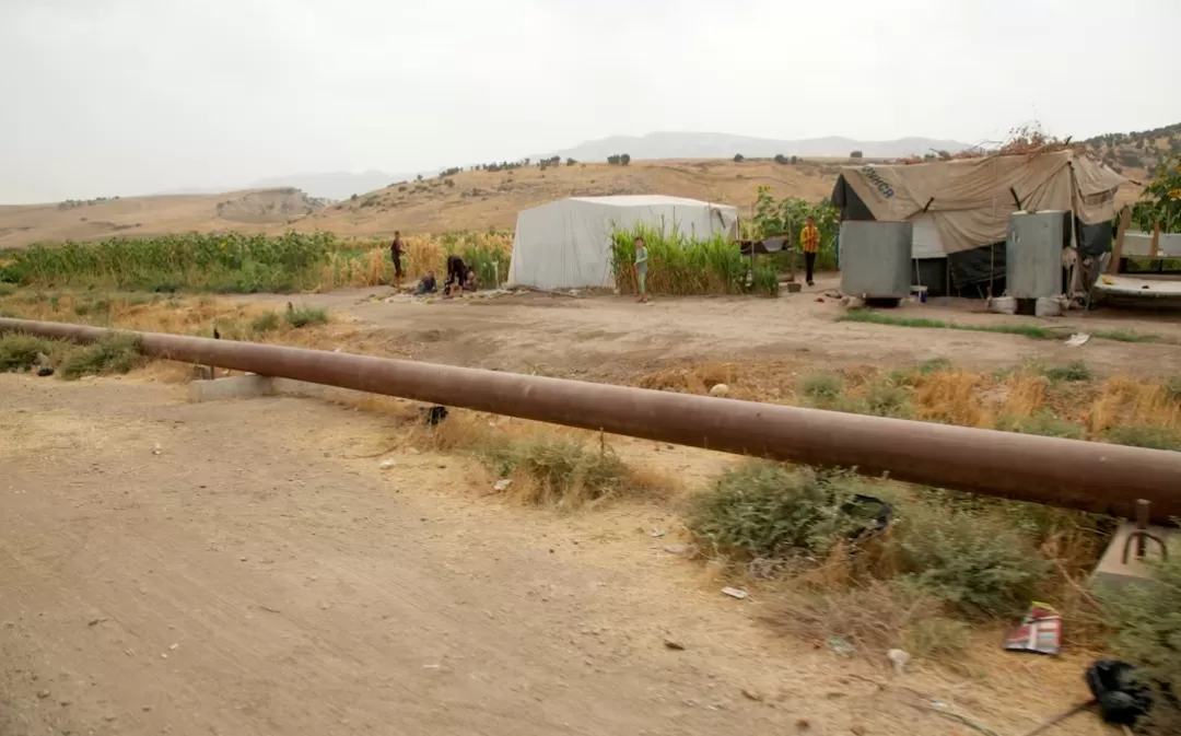 The Rise of AI-Powered Personal Assistants: How They Manage