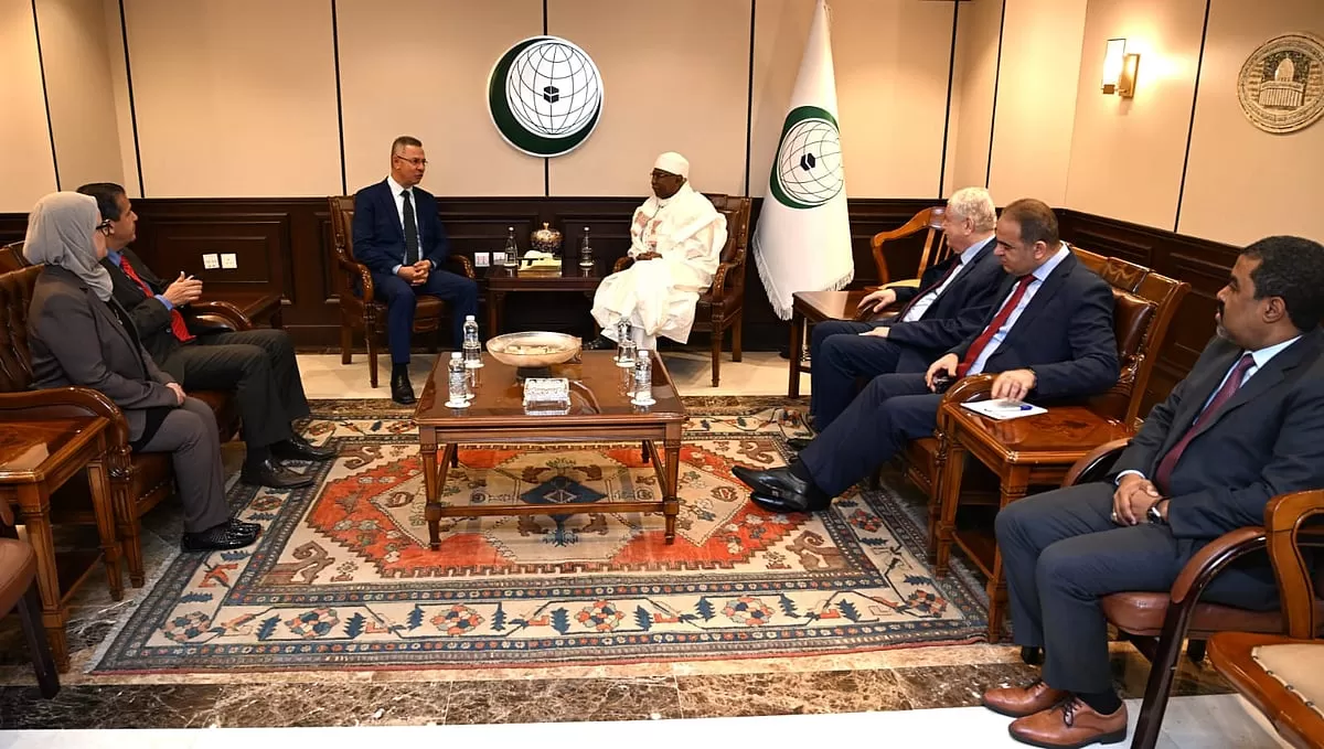 منظمة التعاون الإسلامي والجامعة العربية والاتحاد الأفريقي يدعون لمساءلة الاحتلال الإسرائيلي