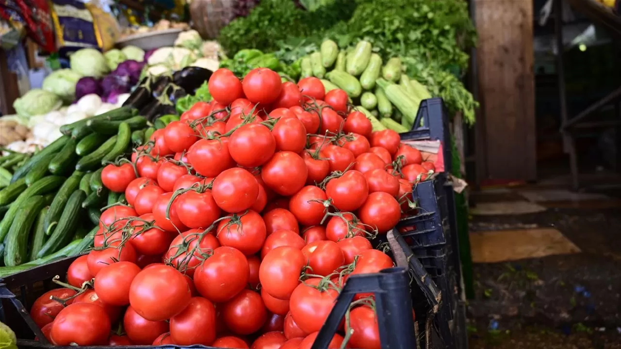 قرار مفاجئ: العراق يمنع استيراد 11 محصولاً زراعياً